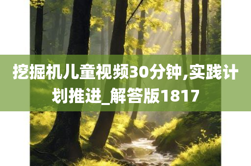 挖掘机儿童视频30分钟,实践计划推进_解答版1817