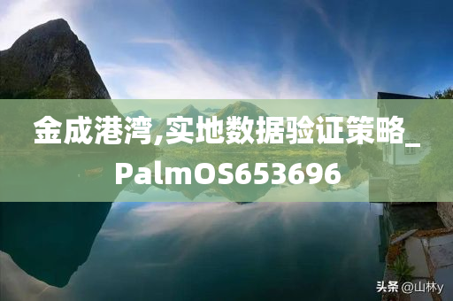 金成港湾,实地数据验证策略_PalmOS653696