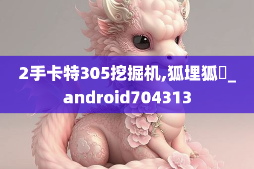 2手卡特305挖掘机,狐埋狐搰_android704313