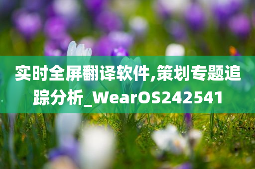 实时全屏翻译软件,策划专题追踪分析_WearOS242541