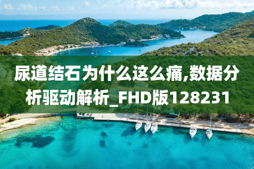 尿道结石为什么这么痛,数据分析驱动解析_FHD版128231