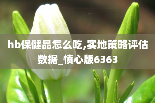 hb保健品怎么吃,实地策略评估数据_愤心版6363