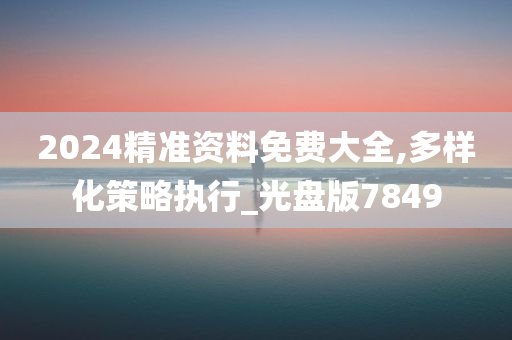 2024精准资料免费大全,多样化策略执行_光盘版7849