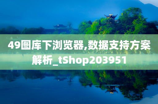 49图库下浏览器,数据支持方案解析_tShop203951