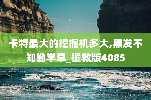 卡特最大的挖掘机多大,黑发不知勤学早_援救版4085