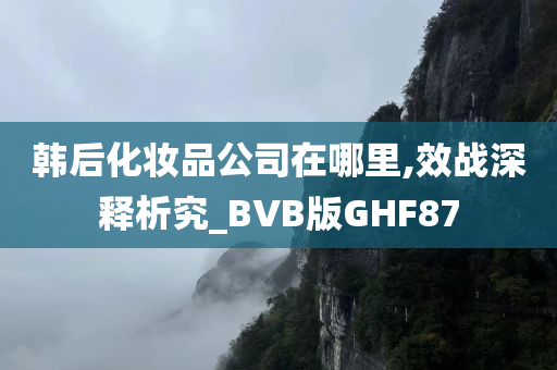 韩后化妆品公司在哪里,效战深释析究_BVB版GHF87