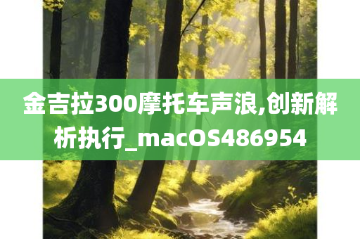 金吉拉300摩托车声浪,创新解析执行_macOS486954