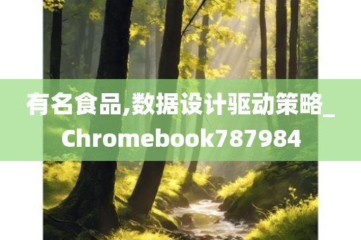 有名食品,数据设计驱动策略_Chromebook787984