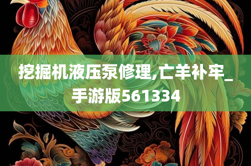 挖掘机液压泵修理,亡羊补牢_手游版561334