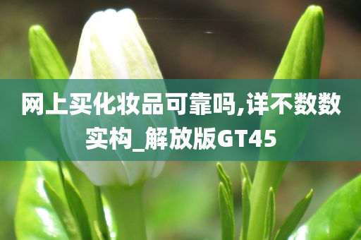 网上买化妆品可靠吗,详不数数实构_解放版GT45