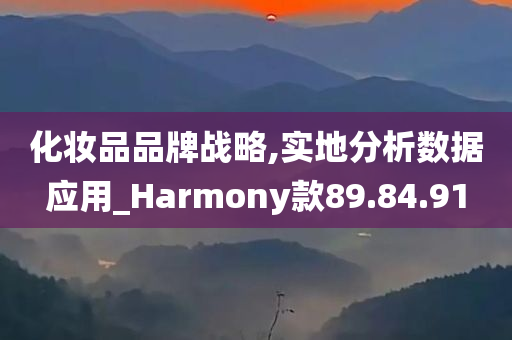 化妆品品牌战略,实地分析数据应用_Harmony款89.84.91