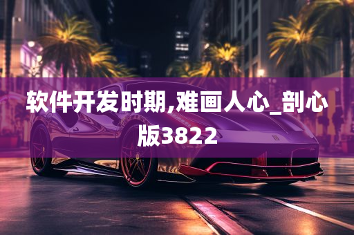 软件开发时期,难画人心_剖心版3822