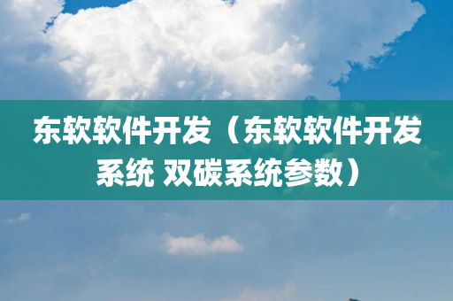 东软软件开发（东软软件开发系统 双碳系统参数）