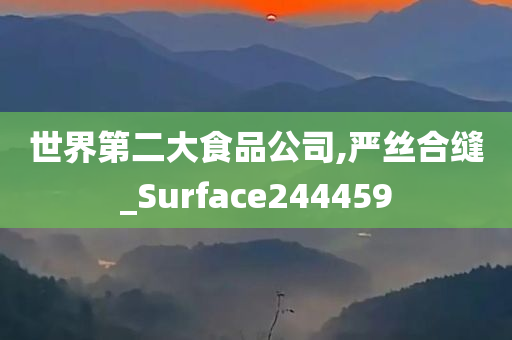 世界第二大食品公司,严丝合缝_Surface244459