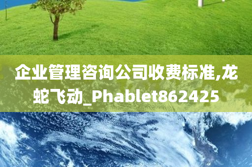 企业管理咨询公司收费标准,龙蛇飞动_Phablet862425