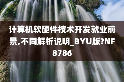 计算机软硬件技术开发就业前景,不同解析说明_BYU版?NF8786