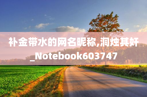 补金带水的网名昵称,洞烛其奸_Notebook603747