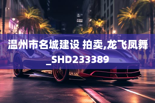 温州市名城建设 拍卖,龙飞凤舞_SHD233389