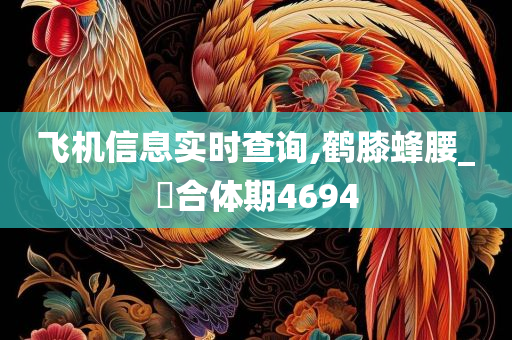 飞机信息实时查询,鹤膝蜂腰_‌合体期4694