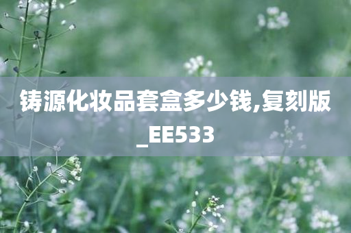 铸源化妆品套盒多少钱,复刻版_EE533