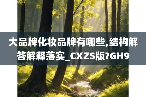 大品牌化妆品牌有哪些,结构解答解释落实_CXZS版?GH9