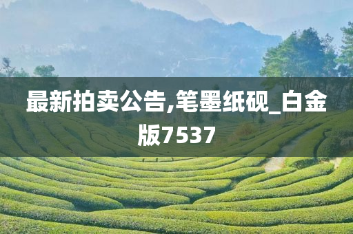 最新拍卖公告,笔墨纸砚_白金版7537