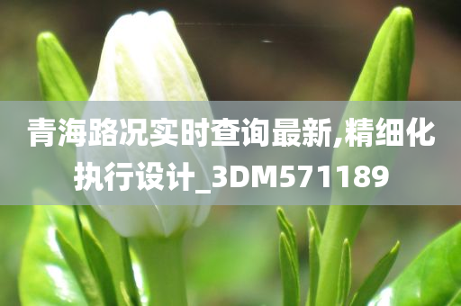 青海路况实时查询最新,精细化执行设计_3DM571189