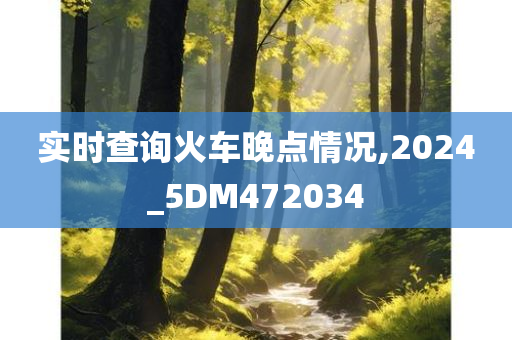 实时查询火车晚点情况,2024_5DM472034