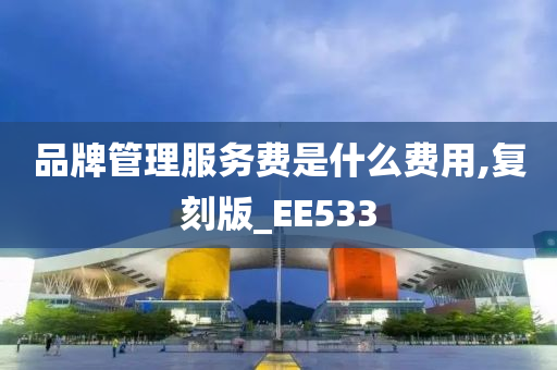 品牌管理服务费是什么费用,复刻版_EE533