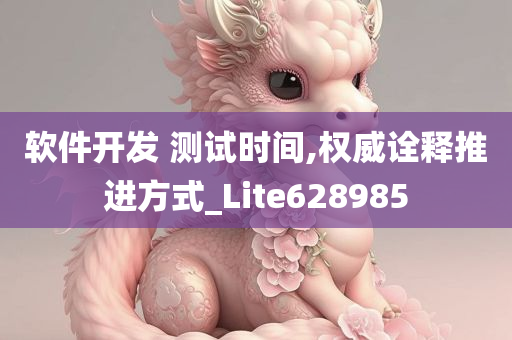 软件开发 测试时间,权威诠释推进方式_Lite628985