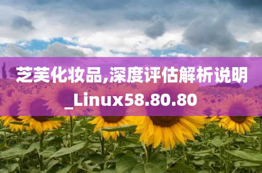 芝芙化妆品,深度评估解析说明_Linux58.80.80