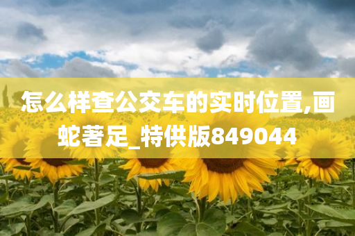 怎么样查公交车的实时位置,画蛇著足_特供版849044