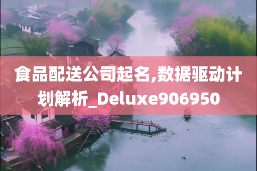 食品配送公司起名,数据驱动计划解析_Deluxe906950