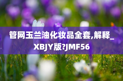 管网玉兰油化妆品全套,解释_XBJY版?JMF56