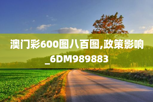 澳门彩600图八百图,政策影响_6DM989883