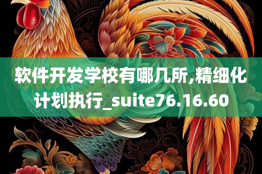 软件开发学校有哪几所,精细化计划执行_suite76.16.60