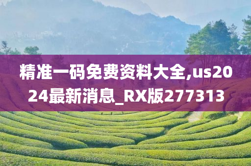 精准一码免费资料大全,us2024最新消息_RX版277313