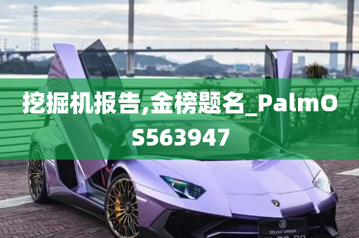 挖掘机报告,金榜题名_PalmOS563947