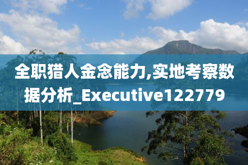 全职猎人金念能力,实地考察数据分析_Executive122779