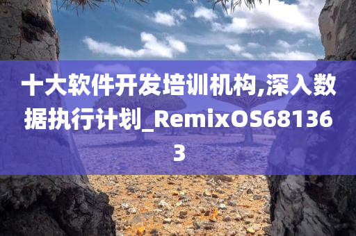 十大软件开发培训机构,深入数据执行计划_RemixOS681363