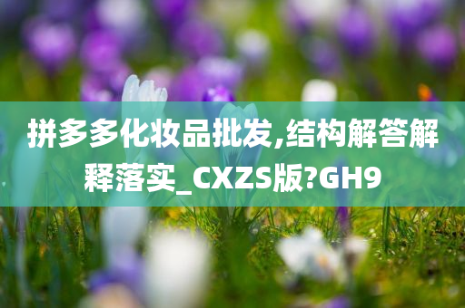 拼多多化妆品批发,结构解答解释落实_CXZS版?GH9