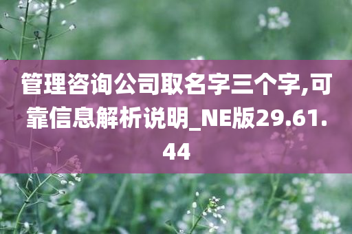 管理咨询公司取名字三个字,可靠信息解析说明_NE版29.61.44