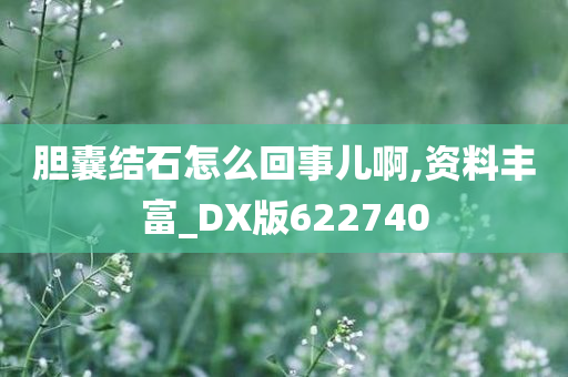 胆囊结石怎么回事儿啊,资料丰富_DX版622740