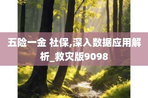 五险一金 社保,深入数据应用解析_救灾版9098