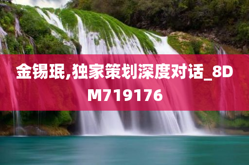 金锡珉,独家策划深度对话_8DM719176