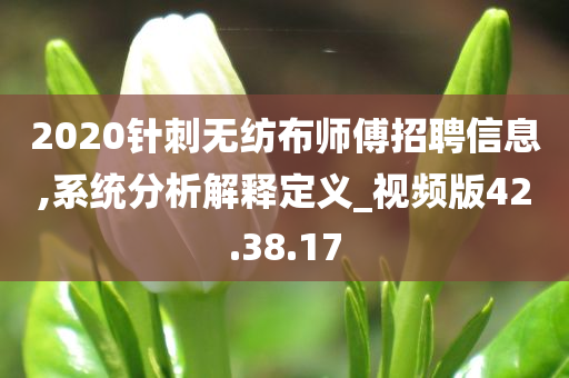 2020针刺无纺布师傅招聘信息,系统分析解释定义_视频版42.38.17