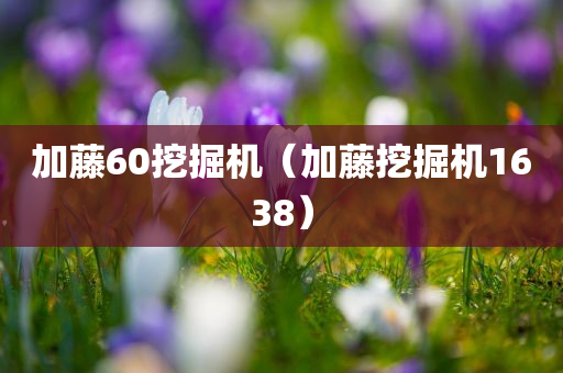 加藤60挖掘机（加藤挖掘机1638）