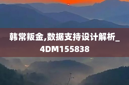 韩常叛金,数据支持设计解析_4DM155838