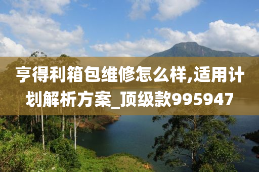 亨得利箱包维修怎么样,适用计划解析方案_顶级款995947