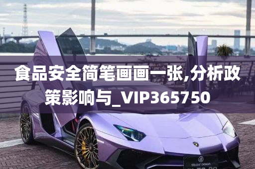 食品安全简笔画画一张,分析政策影响与_VIP365750